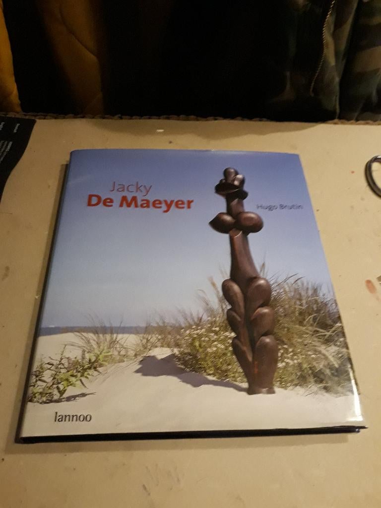 jacky de maeyer, Ophalen of Verzenden, Zo goed als nieuw, Beeldhouwkunst
