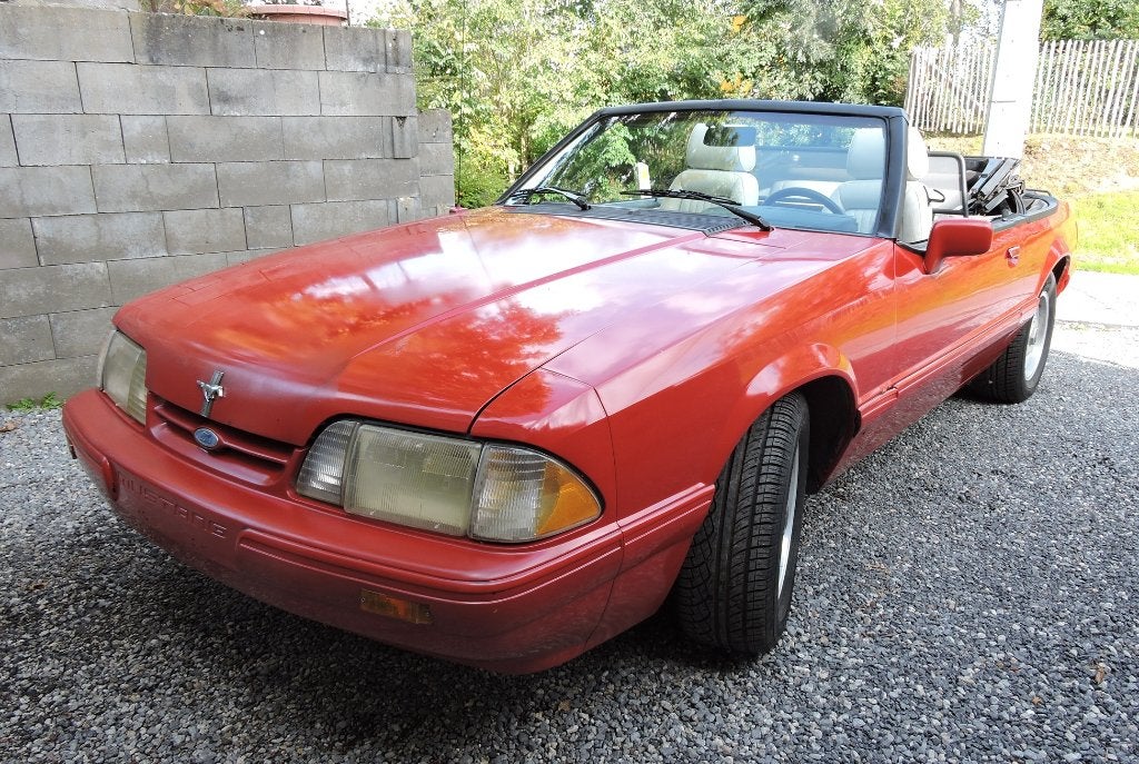 Mustang, foto 2