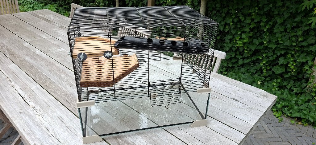 Hamster kooi 60x40x52 cm met glazen onderkant, Moins de 60 cm, Cage, Utilisé, Hamster