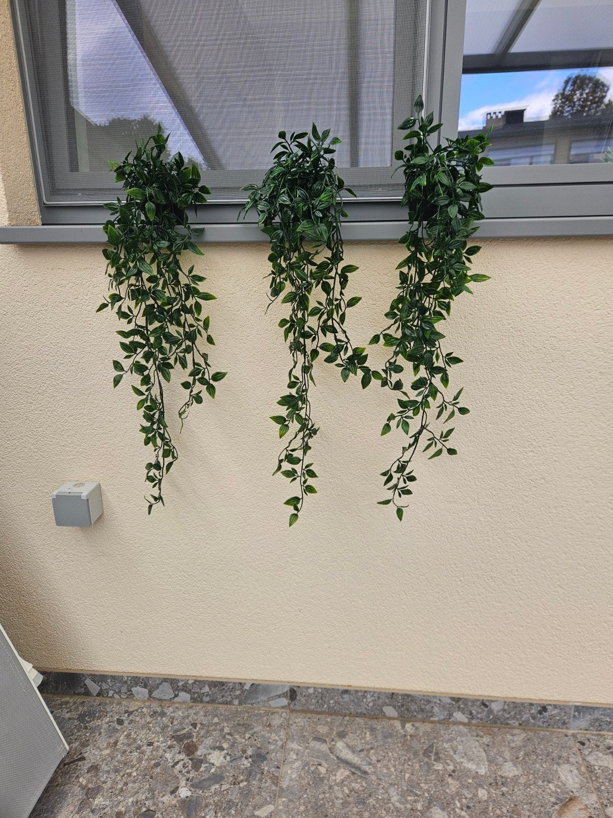 plante suspendue d'art, Enlèvement