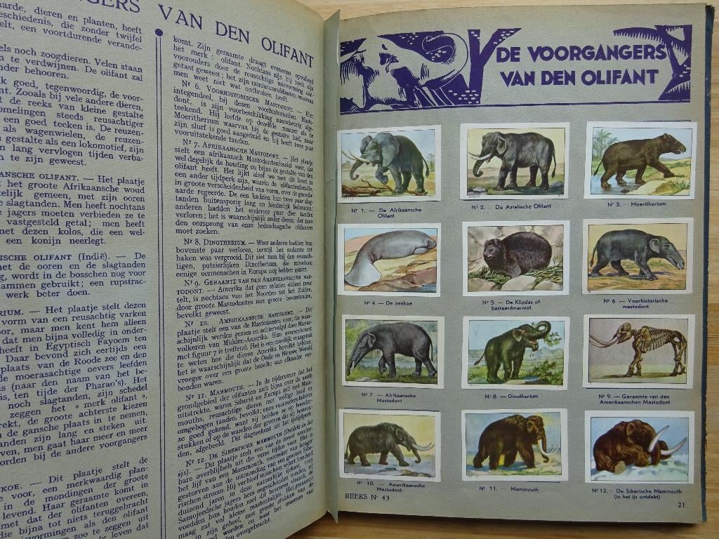 Album "de wonderen der wereld 2" Nestlé, Kohler, Gala,, Ophalen of Verzenden, Gelezen, Plaatjesalbum