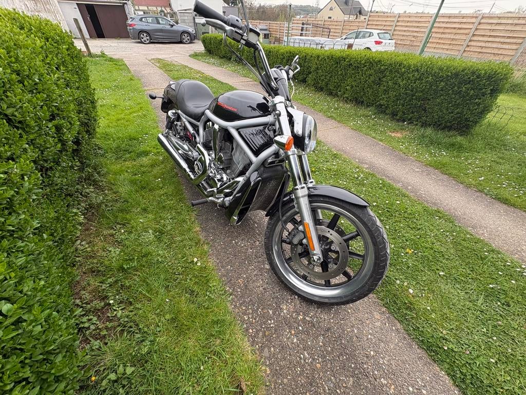 Harley davidson v-rod (vrsca), Particulier