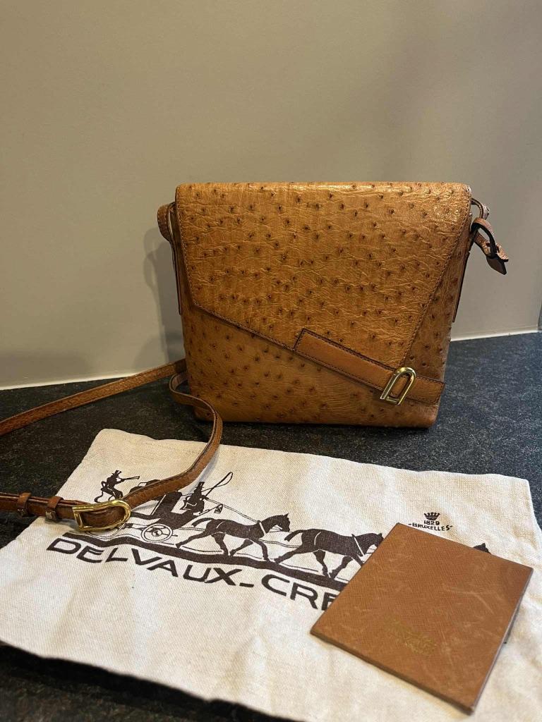 Delvaux struisvogelleer, Enlèvement ou Envoi, Utilisé, Brun, Sac à main