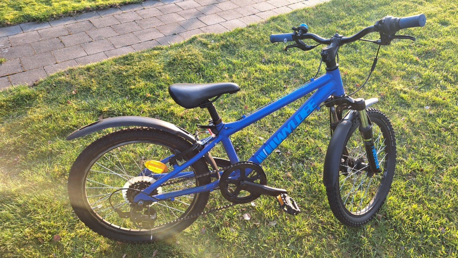 Vélo de montagne en aluminium de 20 pouces, Enlèvement, Aluminium
