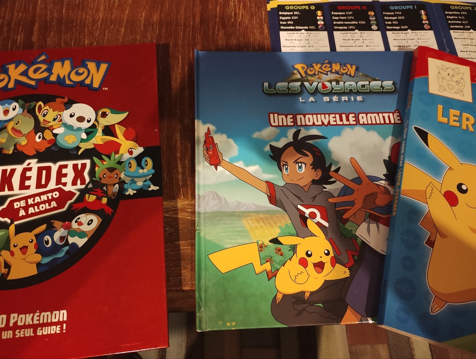 Livres Pokemon, Hobby & Loisirs créatifs, Jeux de cartes à collectionner | Pokémon, Enlèvement ou Envoi