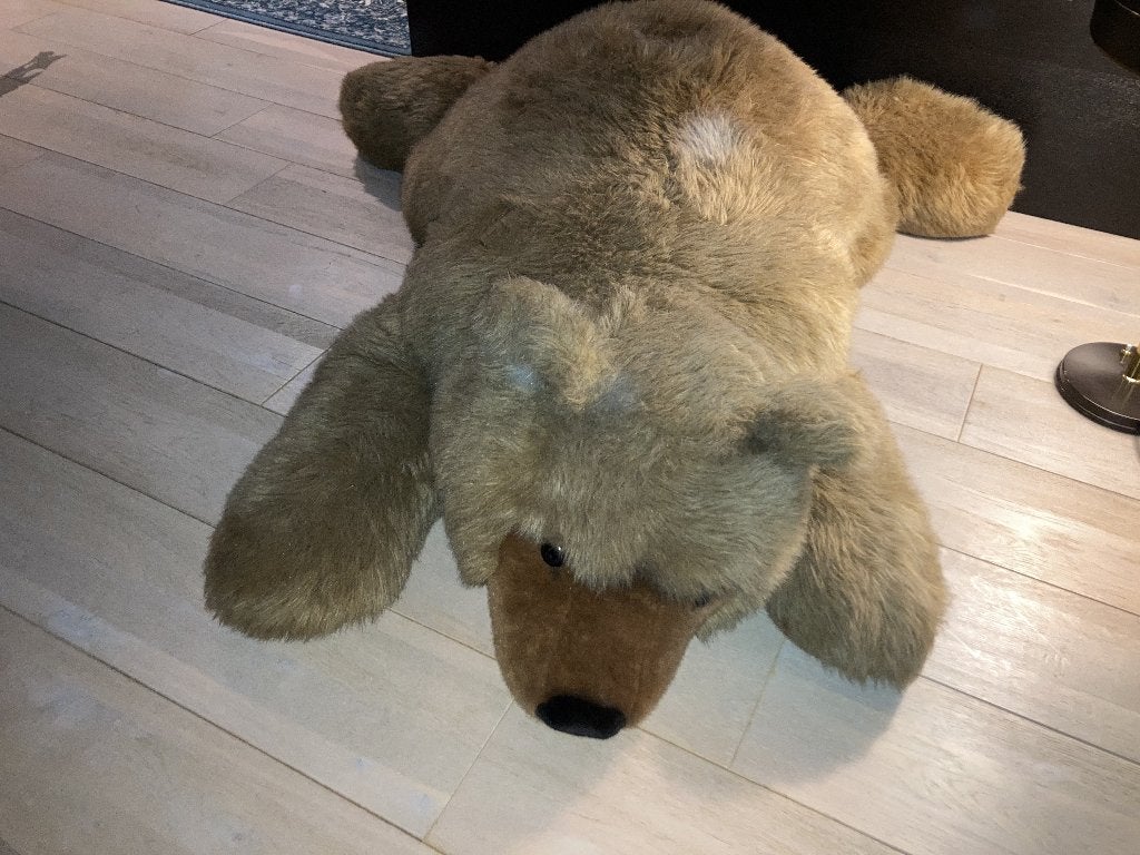 Steiff beer knuffel, Ophalen, Nieuw, Stoffen beer, Steiff