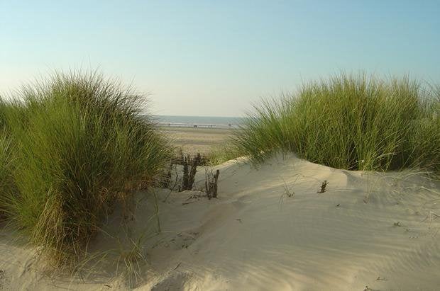 APPARTEMENT GEZOCHT – OOSTENDE, Immo
