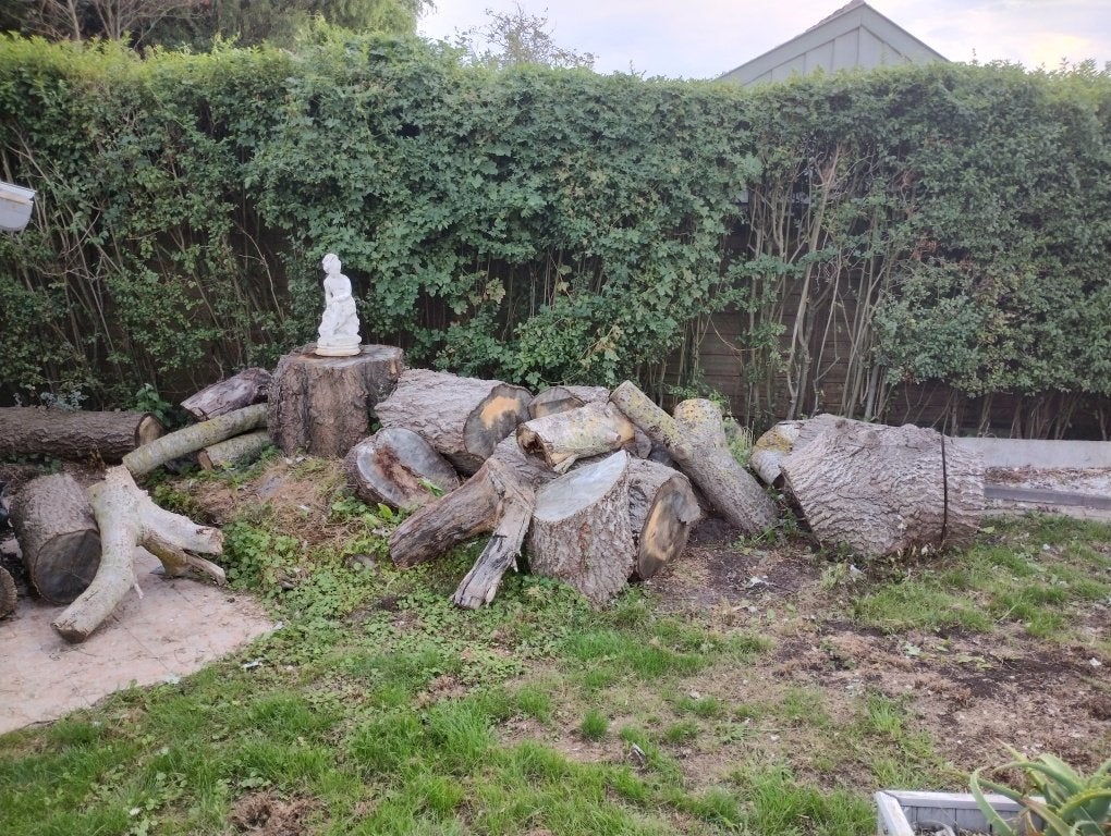 Gratis brandhout, Enlèvement, Troncs d'arbres