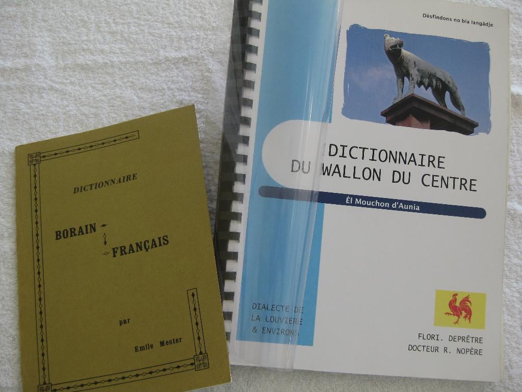 Borinage La Louvière wallon – Deprêtre et Nopère - 1942 2008, Livres, Enlèvement ou Envoi, Utilisé