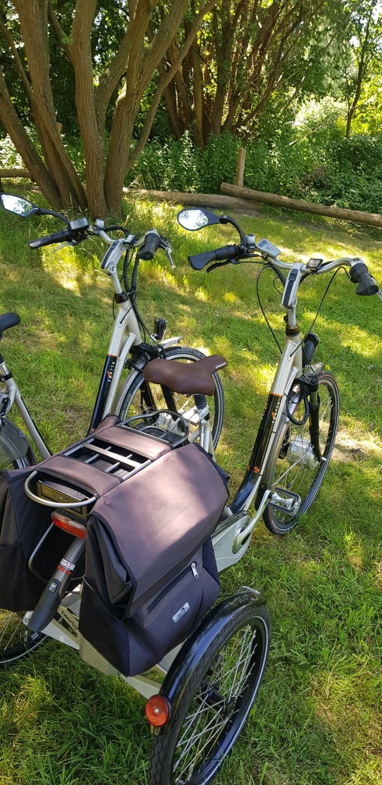 Sparta elektrische fietsen – Driewieler (300 km) + gewone e-, Fietsen en Brommers, Fietsen | Driewielfietsen, Ophalen