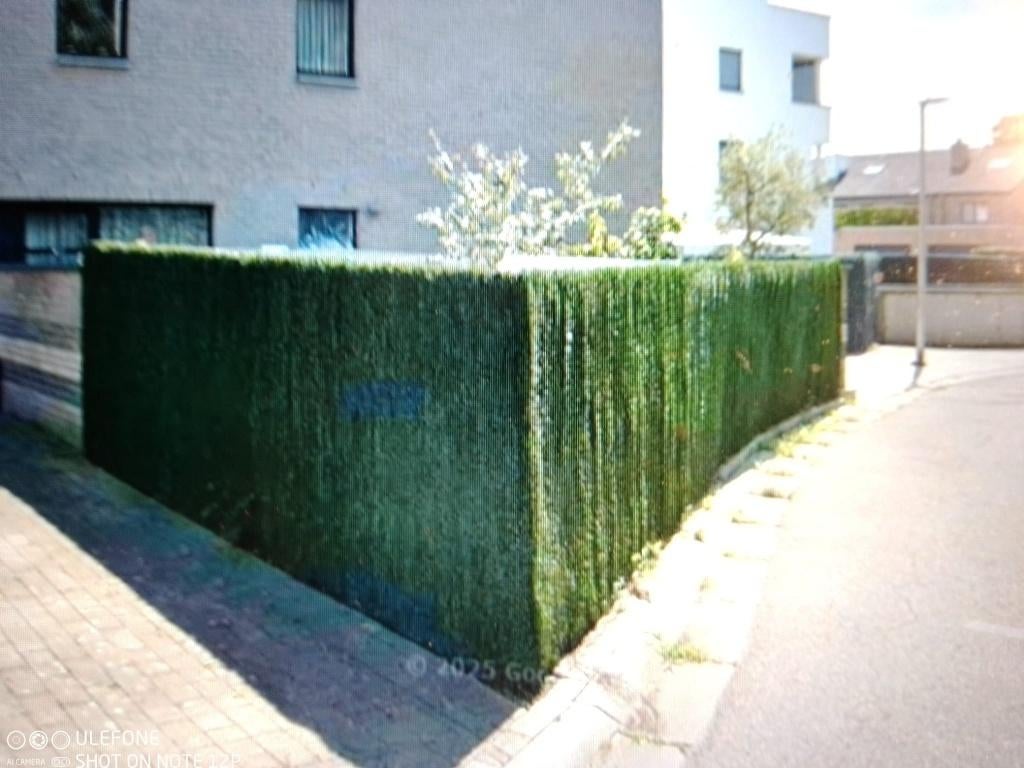 mooie omheining 17m +1m poortje, Tuin en Terras, Ophalen, Zo goed als nieuw