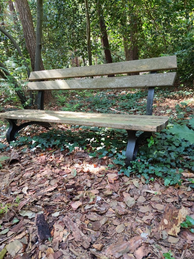 Tuinbank parkbank gietijzer, Tuin en Terras, Ophalen, Gebruikt, Metaal