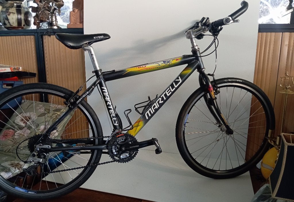 MOUNTAINBIKE MARTELLY SPECIAL PAINTED, Fietsen en Brommers, Fietsen | Mountainbikes en ATB, Ophalen, Gebruikt, Heren