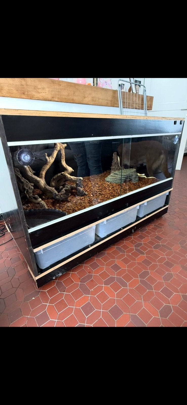 Terrarium