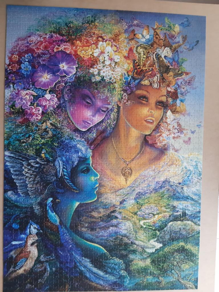 Puzzel 2000 stukjes 10 euro, Ophalen