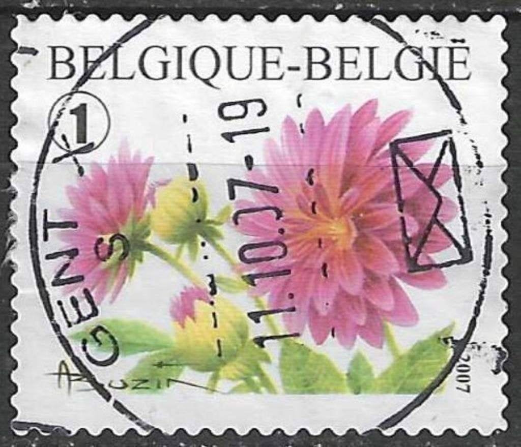 Belgique 2007 - Yvert 3701 /OBP 3684 - Dahlia (ST), Timbres & Monnaies, Envoi, Affranchi, Oblitéré