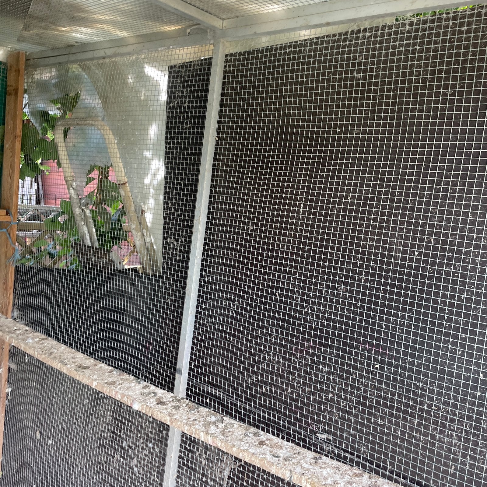 Aluminium kooi te koop, Dieren en Toebehoren, Vogels | Duiven