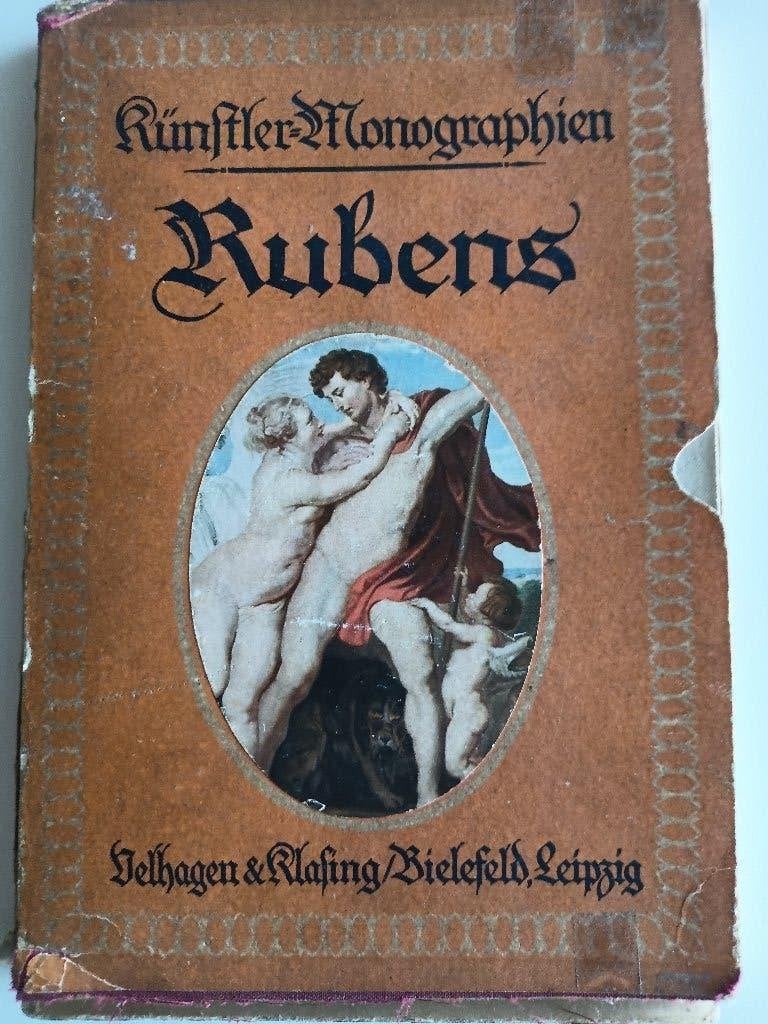 boek Rubens, Boeken, Ophalen, Gelezen, Schilder- en Tekenkunst