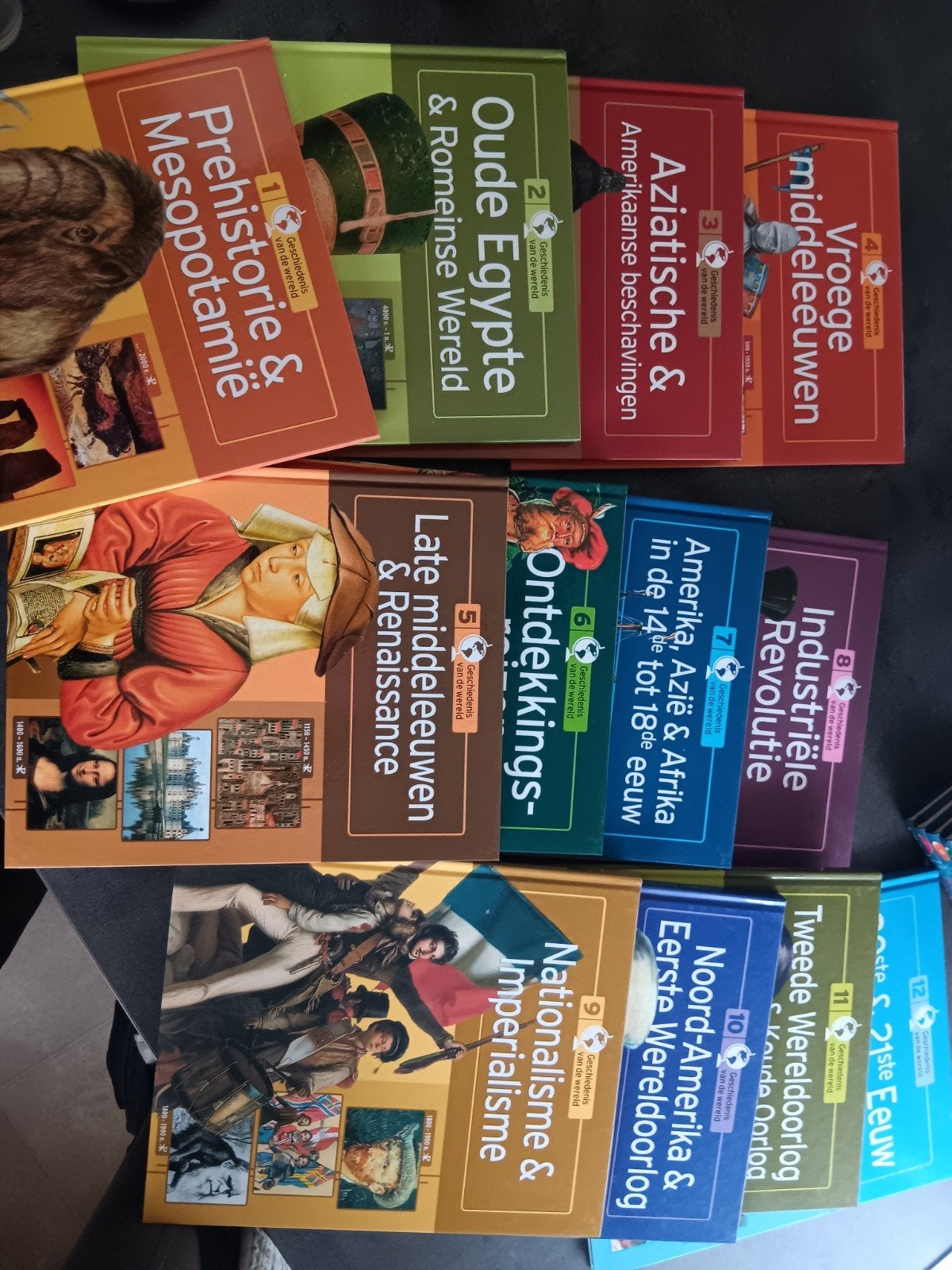 12 delige boekenreeks over de geschiedenis van de wereld, Boeken, Ophalen of Verzenden, Zo goed als nieuw, Geschiedenis en Politiek