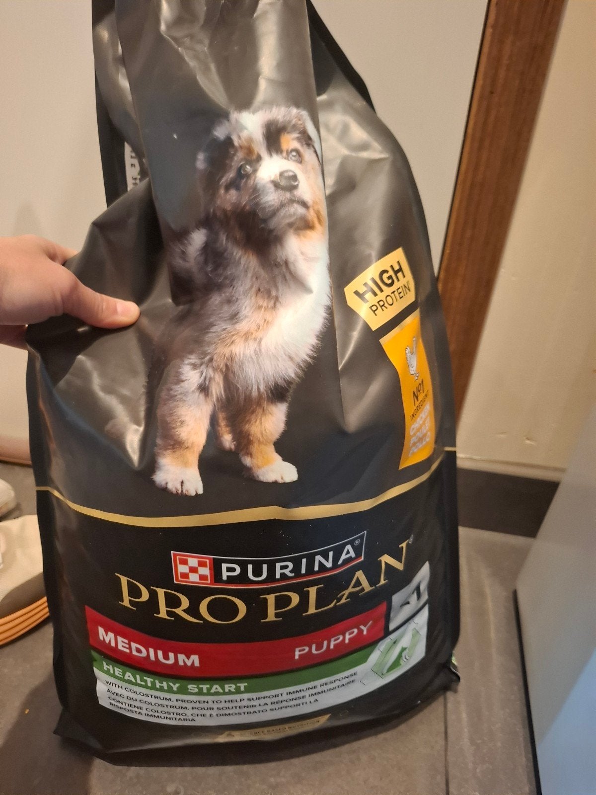 Proplan Healthy start médium puppy, Animaux & Accessoires, Enlèvement, Chien