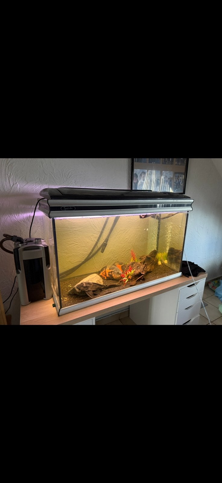 Aquarium te koop, Ophalen, Zo goed als nieuw