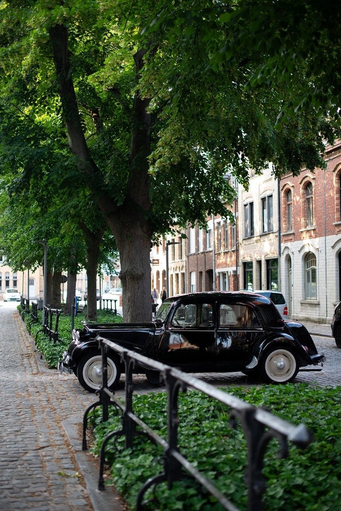1953 Citroën Traction Avant BL, foto 2