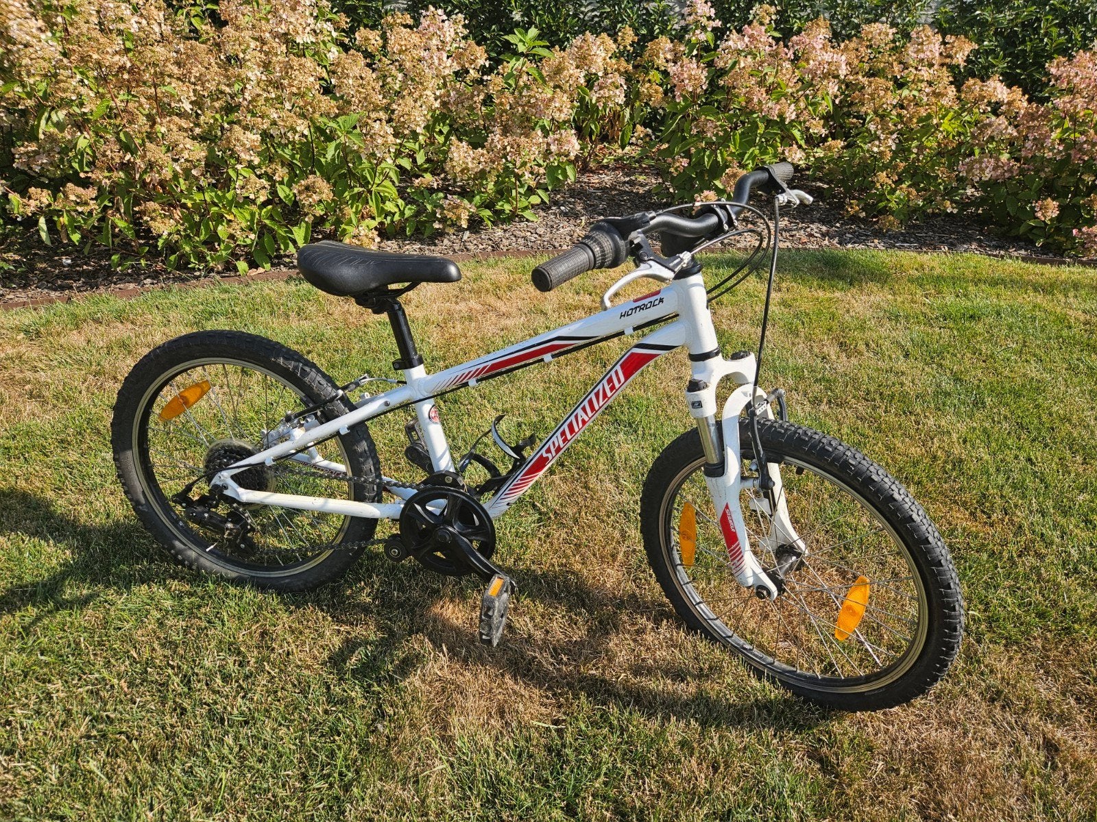 Specialized 20 Inch, Fietsen en Brommers, Fietsen | Crossfietsen en BMX, Ophalen