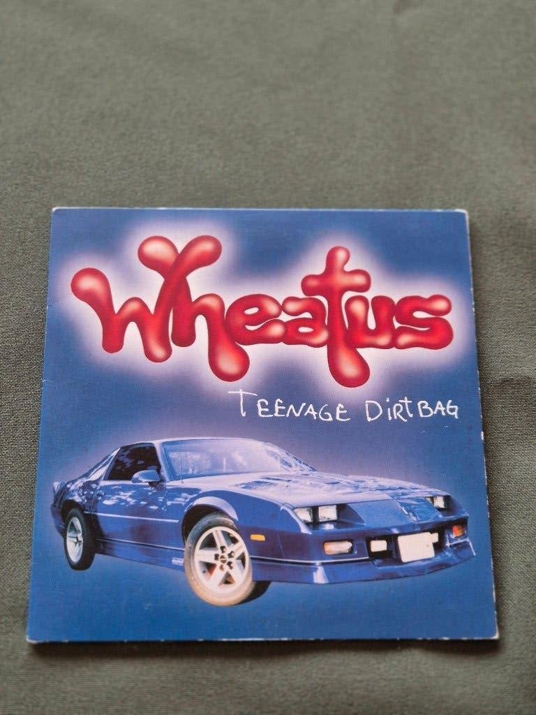 Wheatus - Teenage Dirtbag - CD Single, CD & DVD, Enlèvement ou Envoi, Comme neuf, Pop