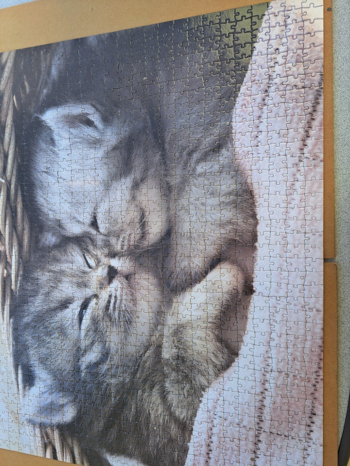 Puzzle de 1000 pièces, Enlèvement, Puzzle