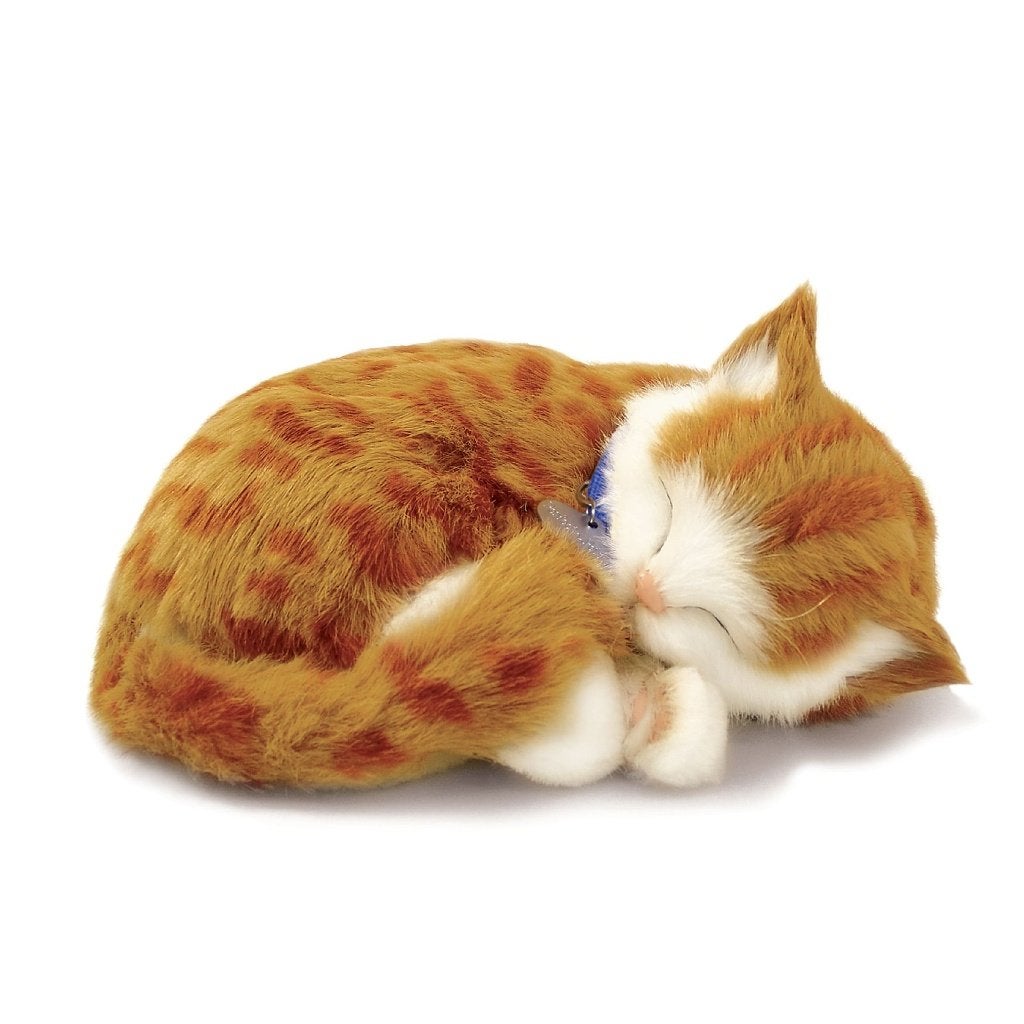 Poesje/kat oranje/wit ademt 'echt', Nieuw, Ophalen of Verzenden, Kat, Oranje