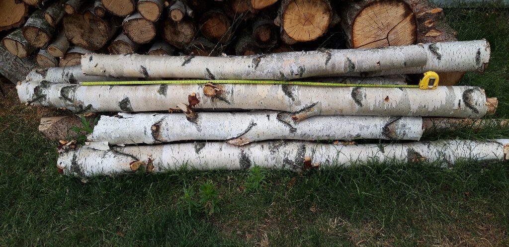 Decoratieve berken stammen., Tuin en Terras, Ophalen, Nieuw, Minder dan 180 cm, Palen