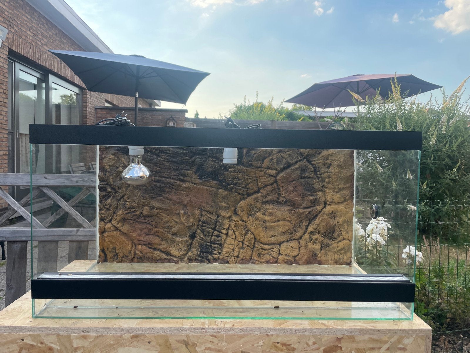 terrarium 100x50x50, Animaux & Accessoires