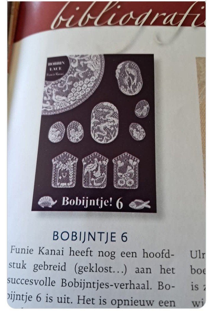 Boeken, Hobby en Vrije tijd, Kantklossen, Ophalen of Verzenden
