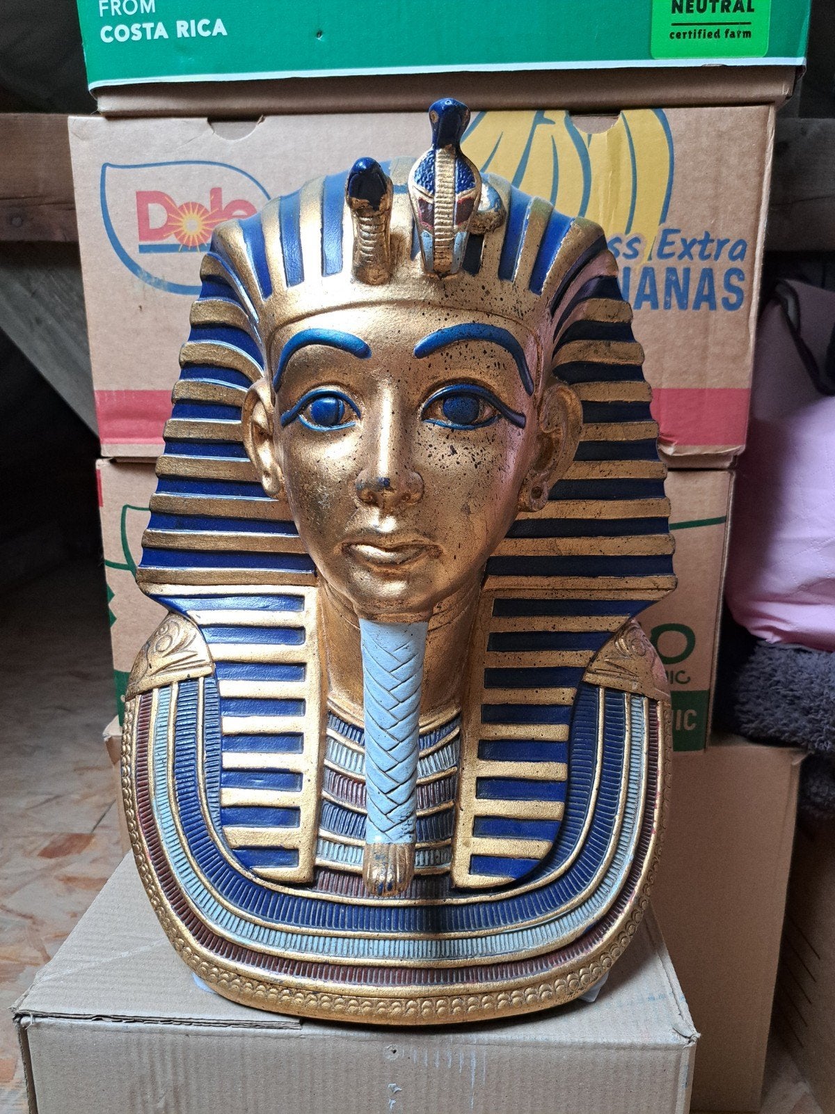 Buste de Toutankhamon, Antiquités & Art, Enlèvement
