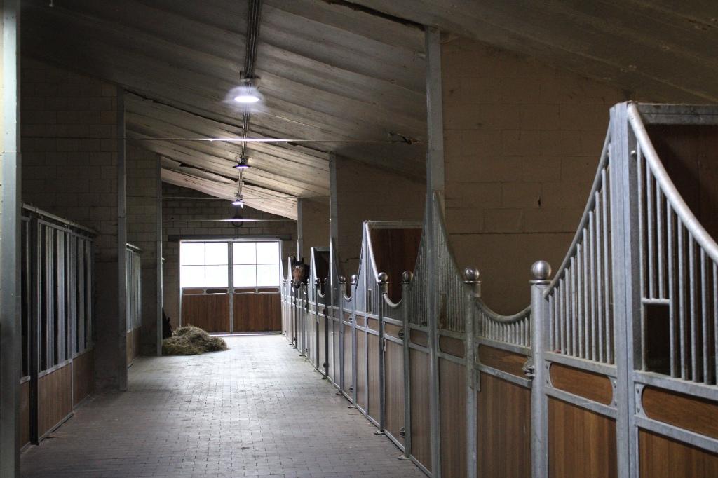Volpension, Stalling, 2 of 3 paarden of pony's