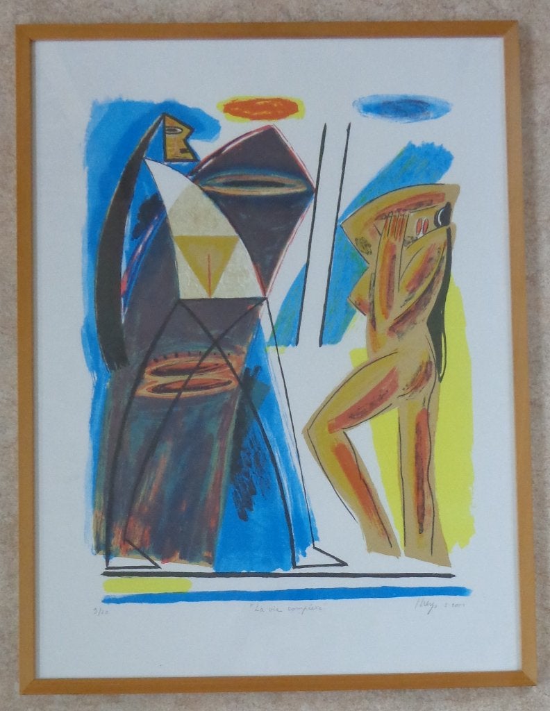 YVAN THEYS / VIE COMPLEXE / KLEURZEEFDRUK / 83x63cm / KADER, Gesigneerd, Ophalen