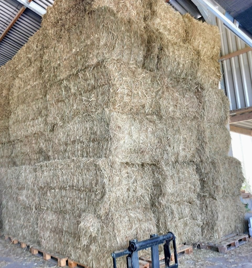 Gros ballots de foin (420kg), Enlèvement, Bétail