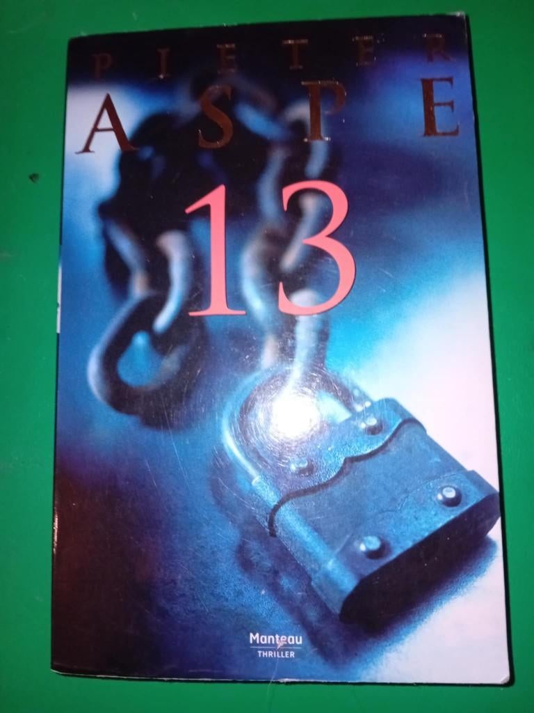 boek pieter aspe 13, Boeken, Thrillers, Pieter Aspe, Ophalen of Verzenden, Zo goed als nieuw, Nederland