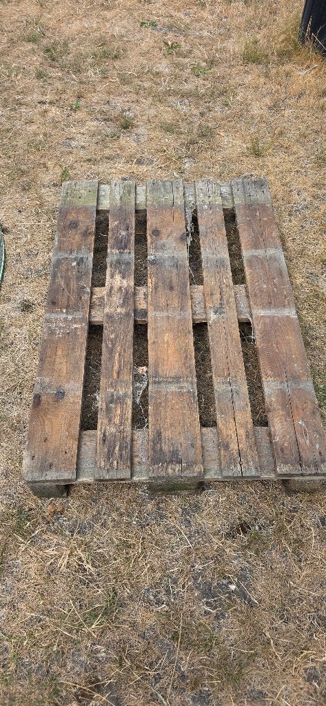 Palette, Bricolage & Construction, Enlèvement, Palette