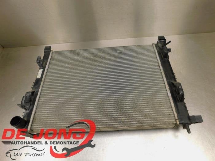 Radiateur d'un Dacia Lodgy, Dacia, -, 3 mois de garantie, Utilisé