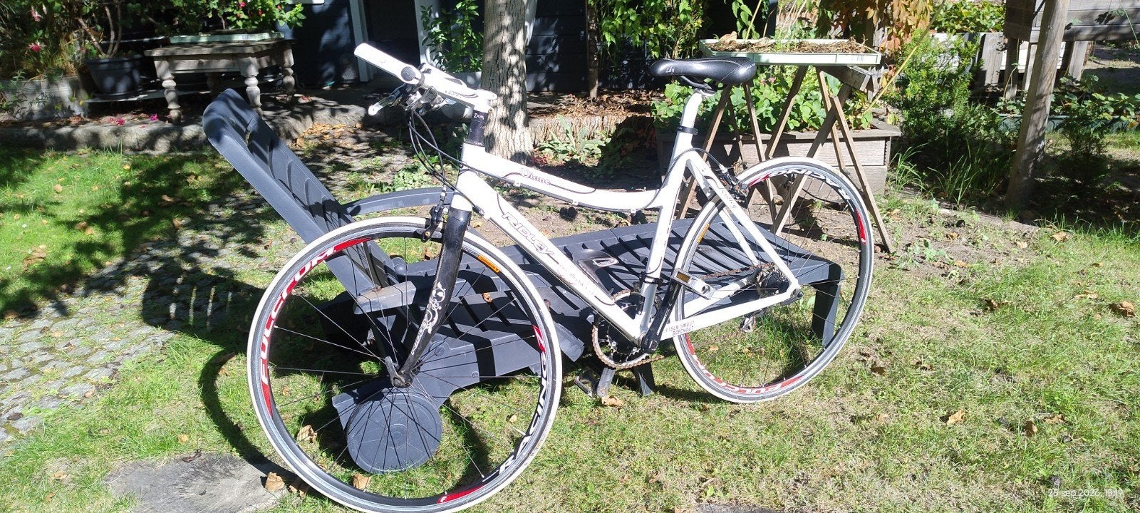 Zeer mooie damesfiets Ridley Dione, Fietsen en Brommers, 50 tot 53 cm, Ophalen, Zo goed als nieuw, Velgrem