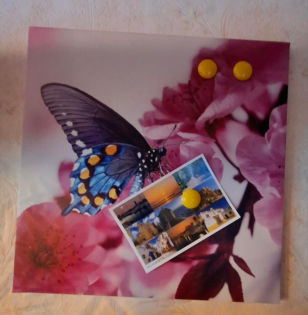 Uniek design magneetbord – stevig & decoratief (kunststof), Antiek en Kunst, Kunst | Schilderijen | Abstract, Ophalen