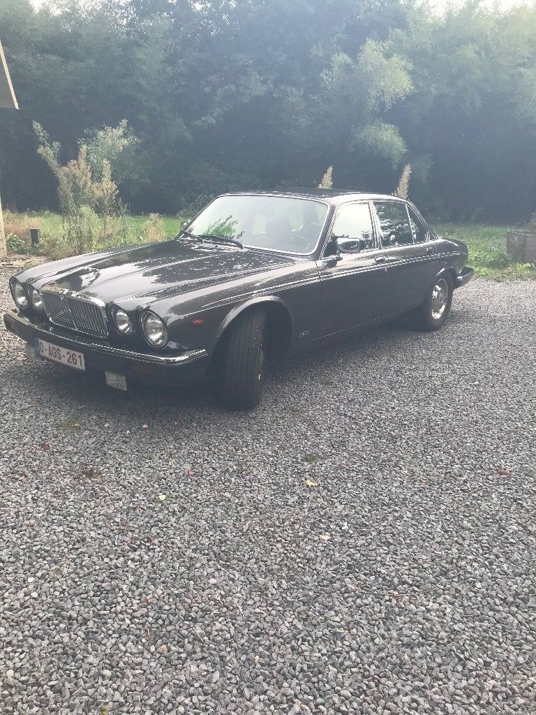 Jaguar XJ Sovereign V12, Autos, Cuir, Argent ou Gris, Achat, Intérieur cuir
