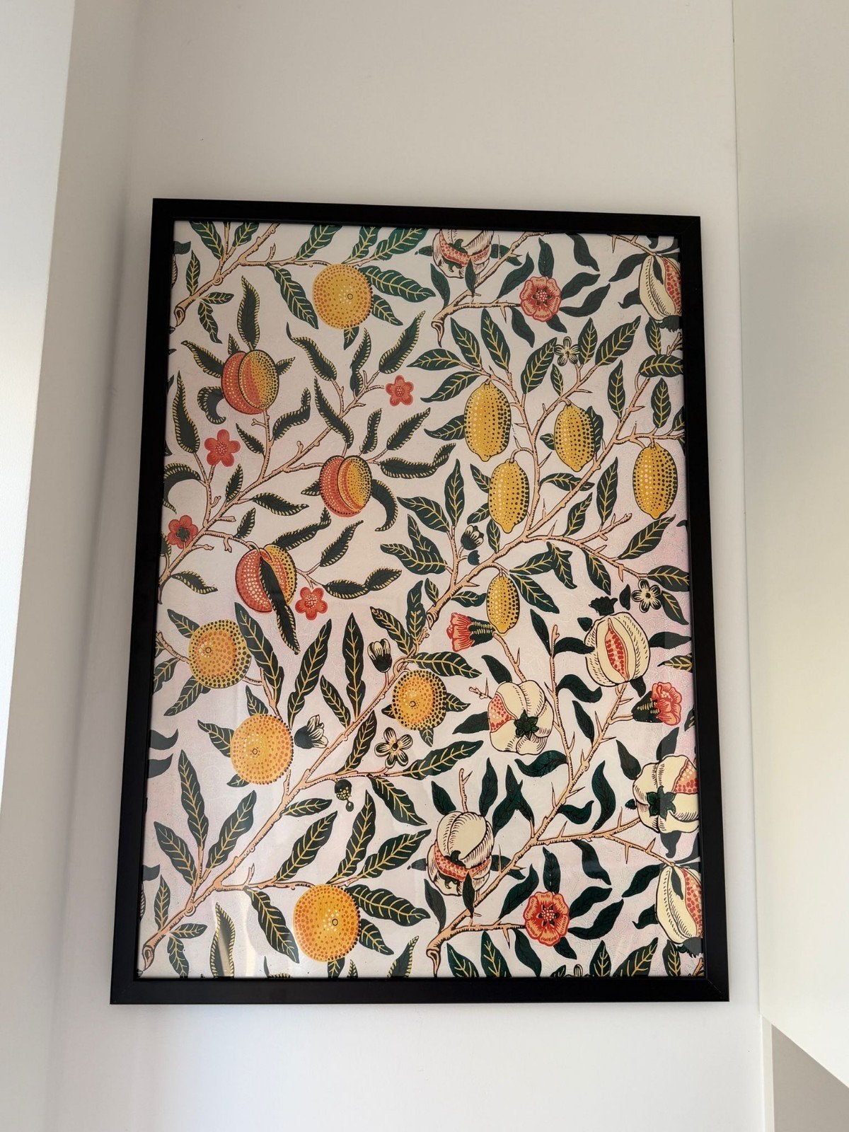 Affiche encadrée motif « Fruit » (Pomegranate) 50x70 cm, Antiquités & Art, Art | Peinture | Abstraite, Enlèvement
