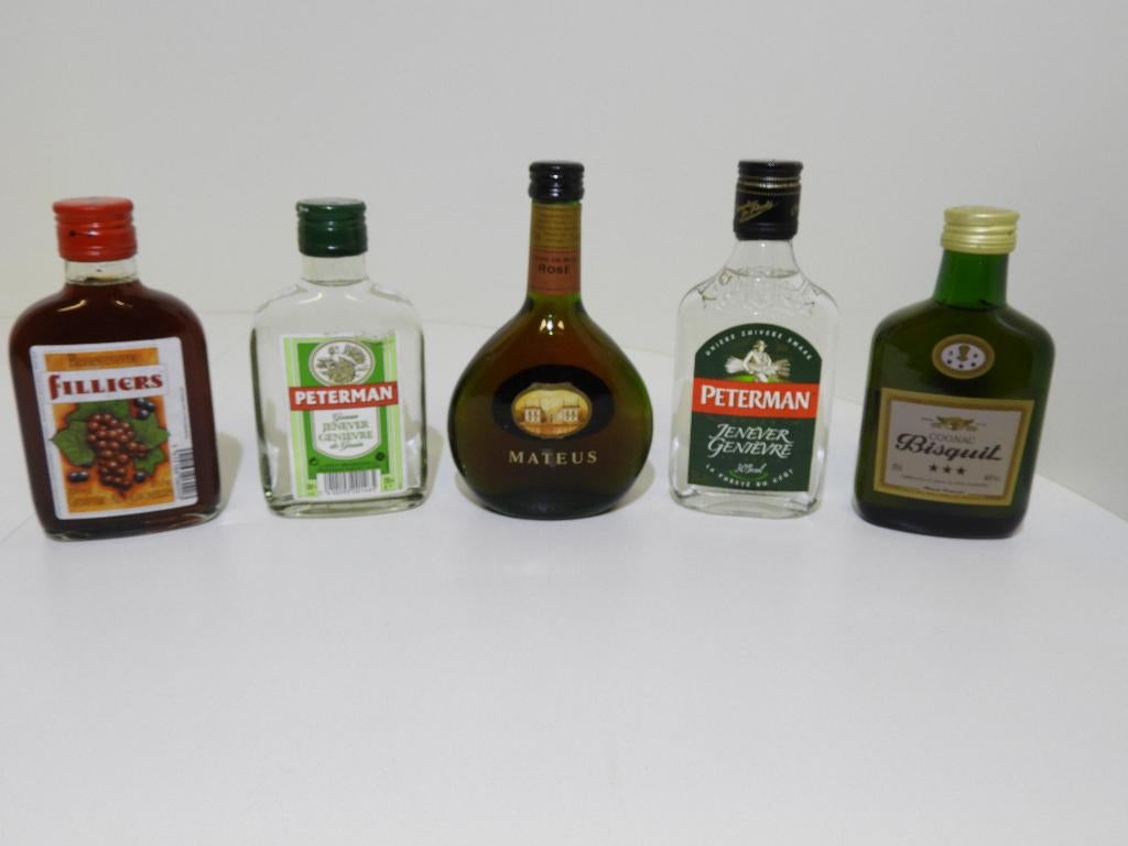 Sterke drank zakflesjes (Vol), Enlèvement ou Envoi, Neuf, Pleine