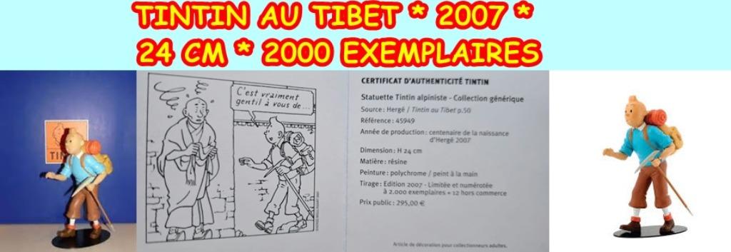 2007-TINTIN AU TIBET - 24 CM - 2000 EXEMPLAIRES, Collections, Envoi, Tintin, Neuf, Statue ou Figurine