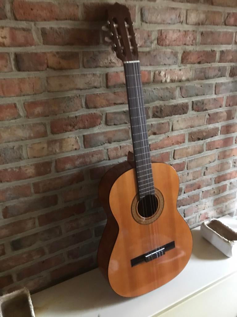 Akoestische gitaar, Musique & Instruments, Instruments à corde | Guitares | Acoustiques, Enlèvement ou Envoi, Comme neuf