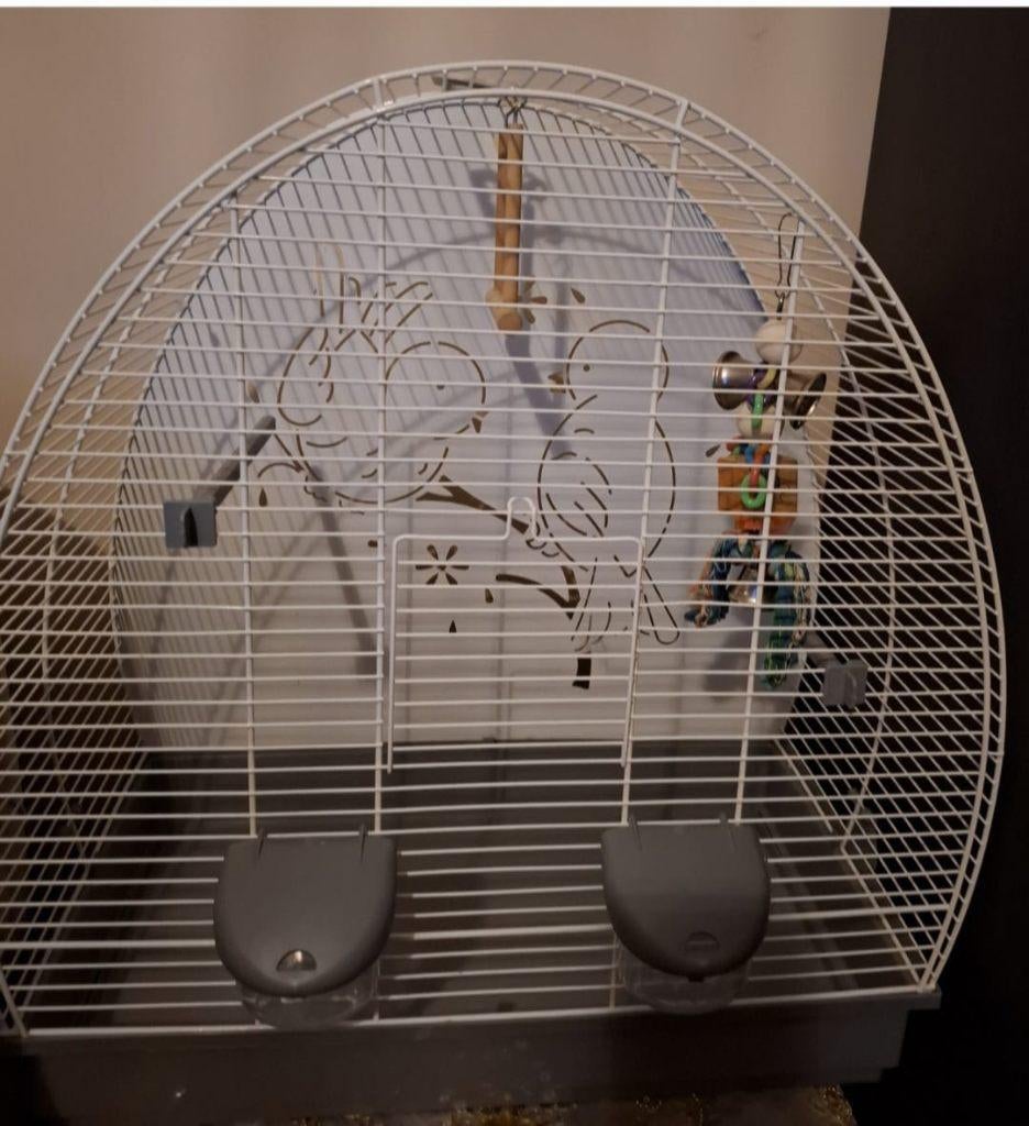 Cage oiseaux accessoires complets, Verzenden, Zo goed als nieuw