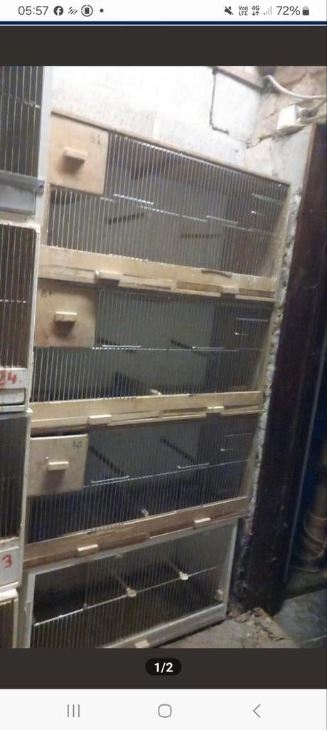 Kweekbakken, Dieren en Toebehoren, Ophalen