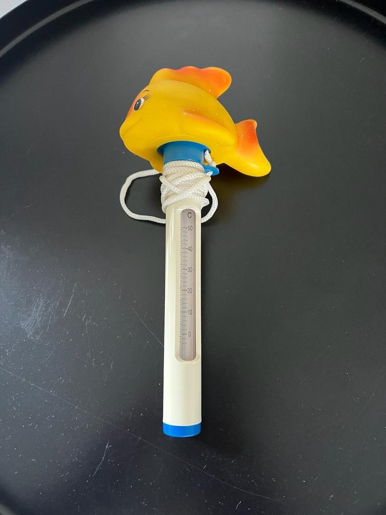 Thermometer zwembad visje, Ophalen, Zo goed als nieuw